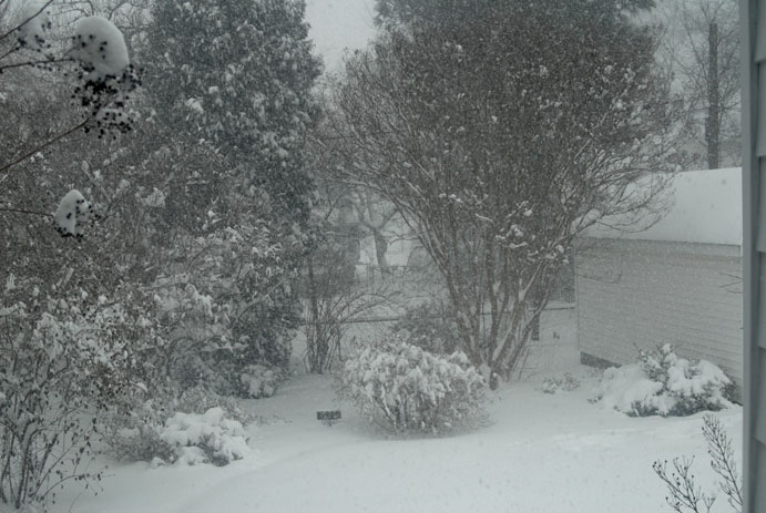 Looking out other window - in our Blizzard of 2009 - 751