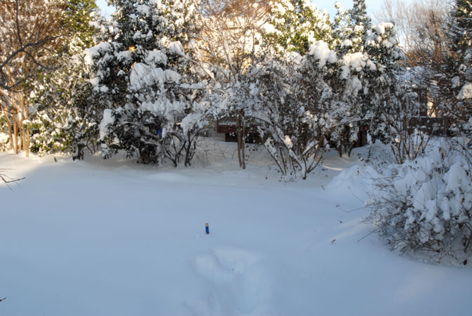 backyard - croquet center post measurement at over 19 inches - 767