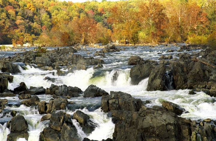 a lucky shot - looking upstream - that caught Fall this year’s colors to produce a spectacular scene, October - 46-23.jpg